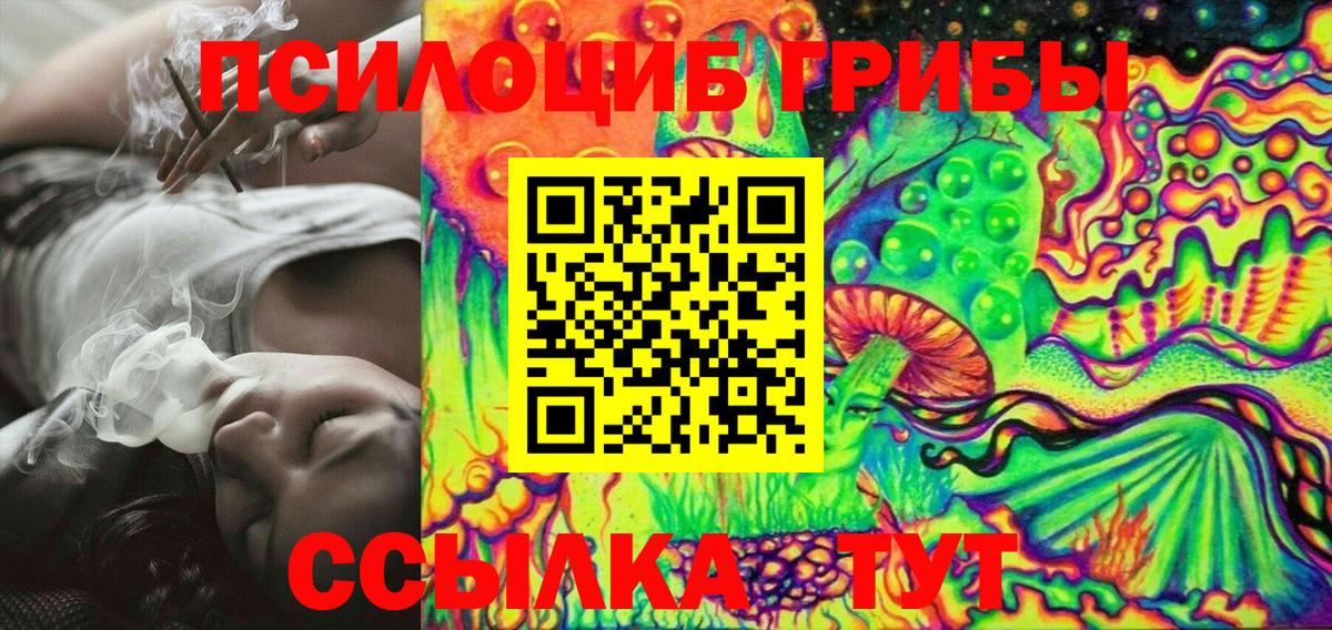 Галлюциногенные грибы GOLDEN TEACHER Новороссийск